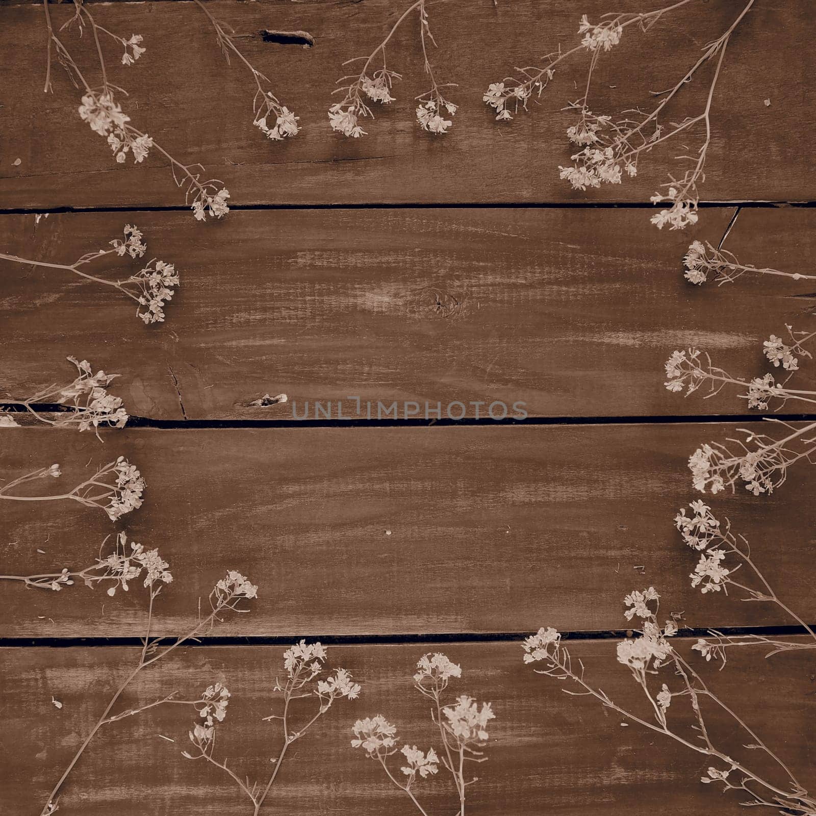 rapeseed flowers laid out in a circle on wooden table. Wildflowers are arranged on the table. Copy space still life. Free space for text. Brassica napus Cabbageaceae. Sepia monochrome photo