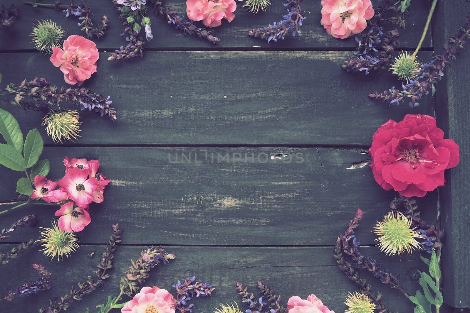 Flowers in a circle on a wooden background. Postcard for the holiday. Roses, geraniums, lavender, sage and hairy chestnuts are placed along the edges on dark boards. Background copy space, flat lay