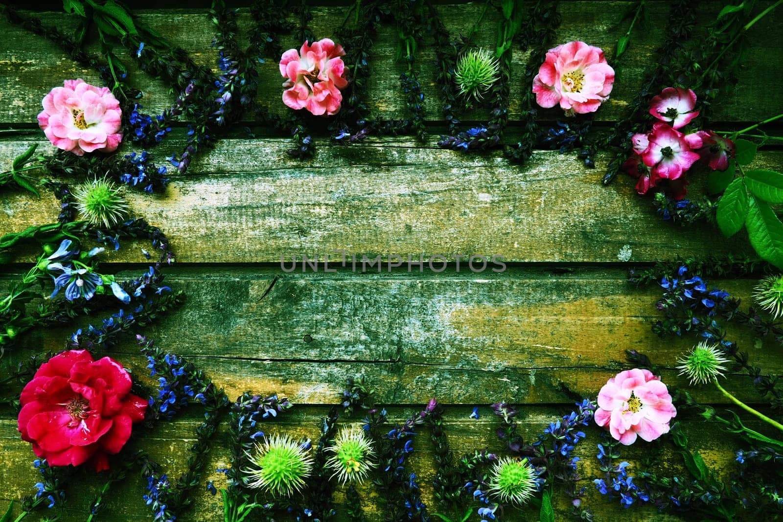 Flowers in a circle on a wooden background. Postcard for the holiday. Roses, geraniums, lavender, sage and hairy chestnuts are placed along the edges on dark boards. Background copy space, flat lay