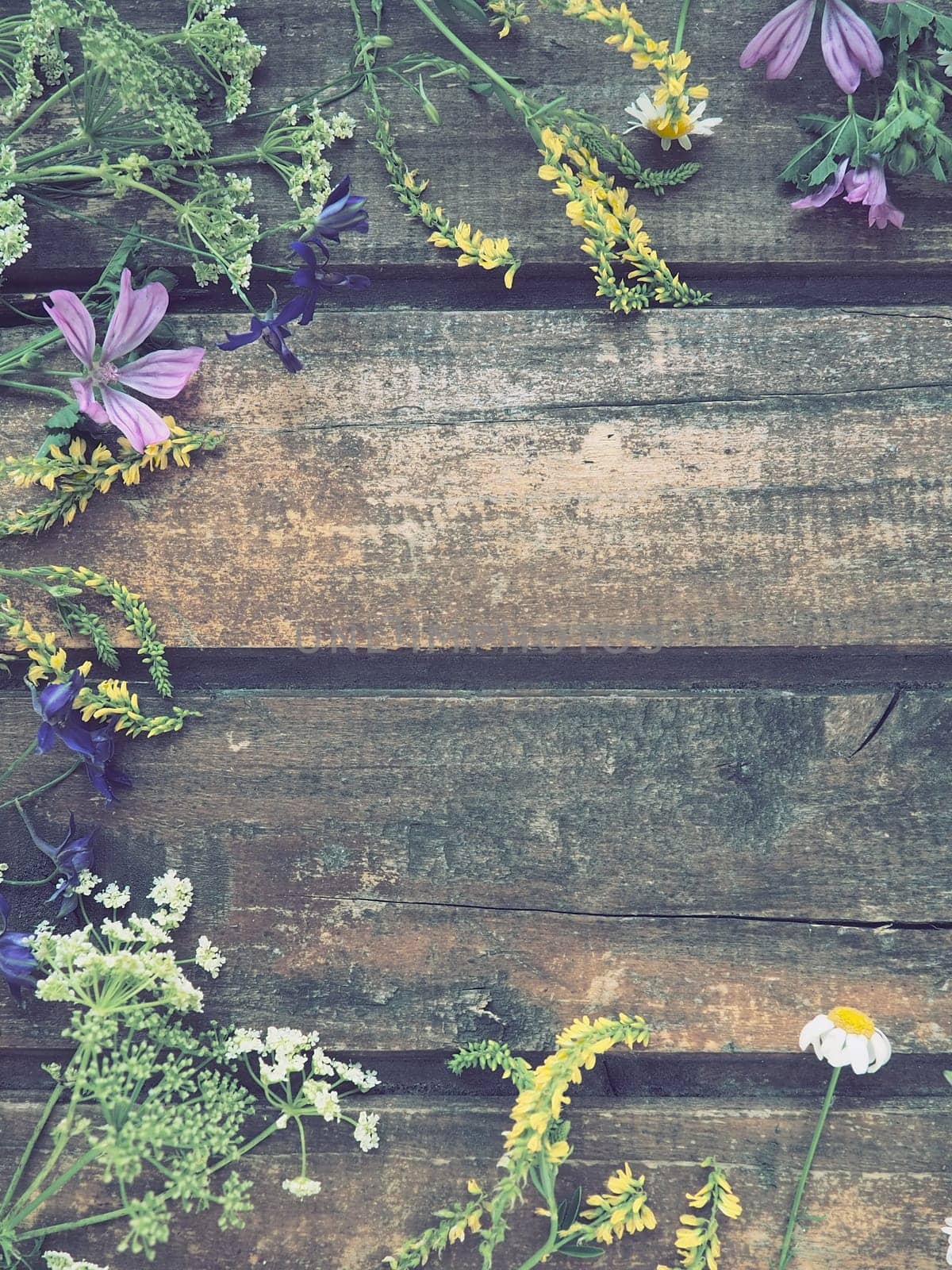 Multicolored wildflowers are arranged in a circle on a wooden table background. Chamomile, sweet clover, wild geranium, bluebells, parsley inflorescences. Horizontal boards. Romantic Provence style.