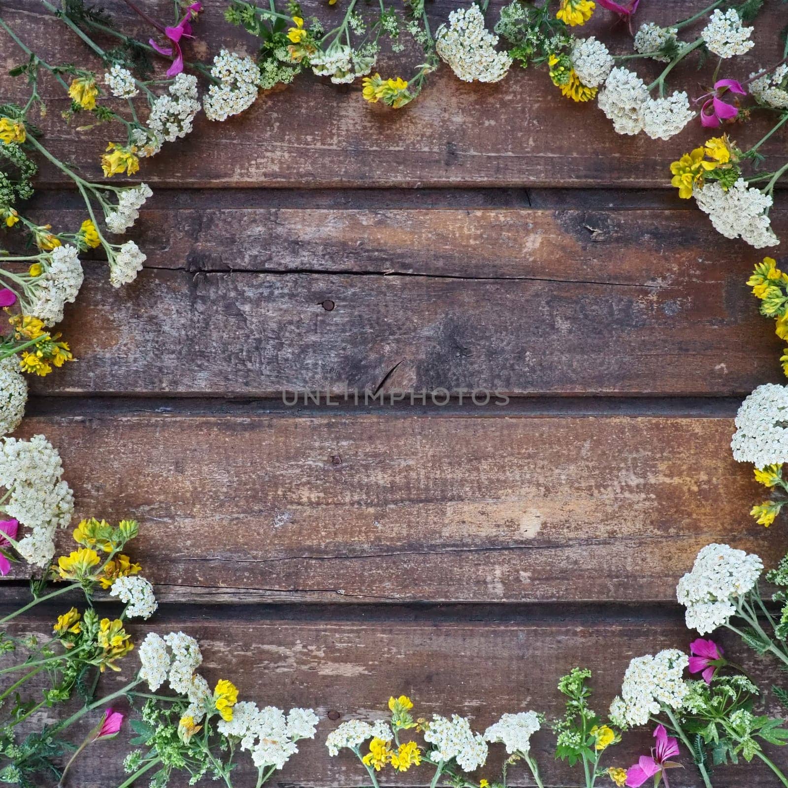 multicolored wildflowers are arranged in a circle on a wooden table background. White yarrow inflorescences, yellow grass mouse peas, pink ivy geranium. Horizontal boards. Romantic rustic style