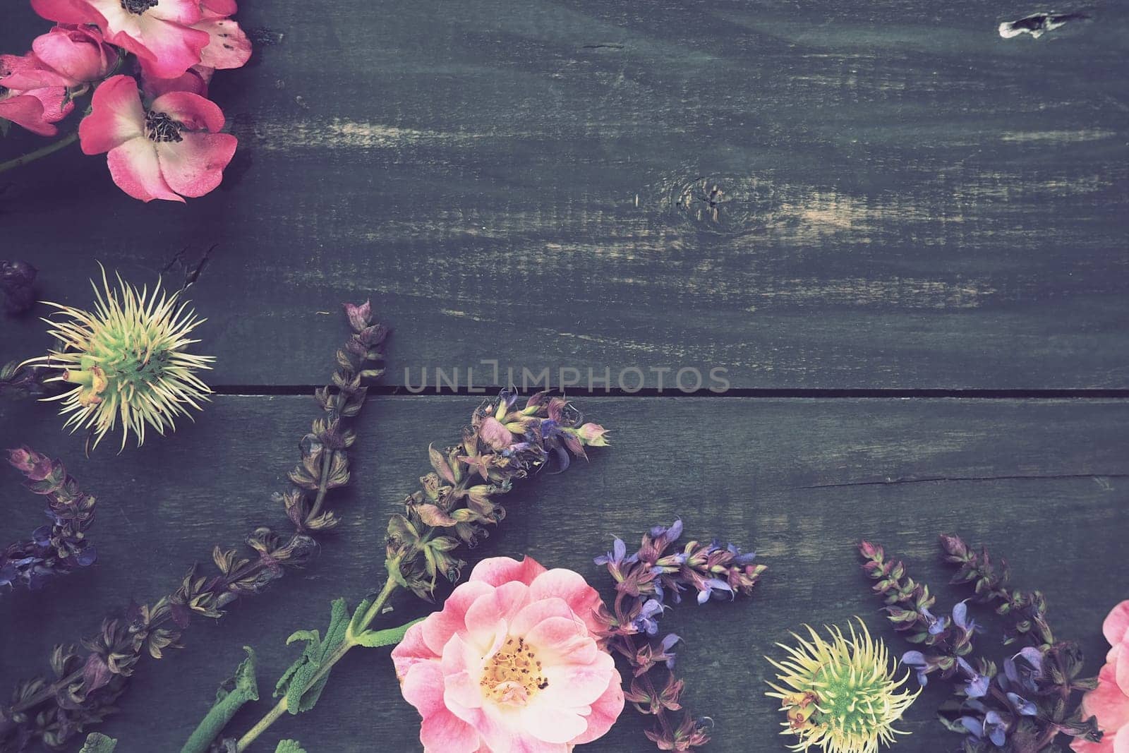 Flowers in a semicircle on a wooden background. Postcard for the holiday. Roses, lavender, sage and hairy chestnuts along the edges on dark boards. Background copy space, flat lay. Festive poster