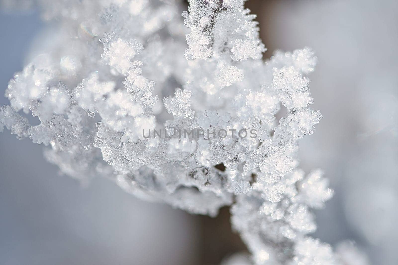 Ice crystals froze in all directions. Abundant textured and bizarre shapes were formed. Winter shot from nature