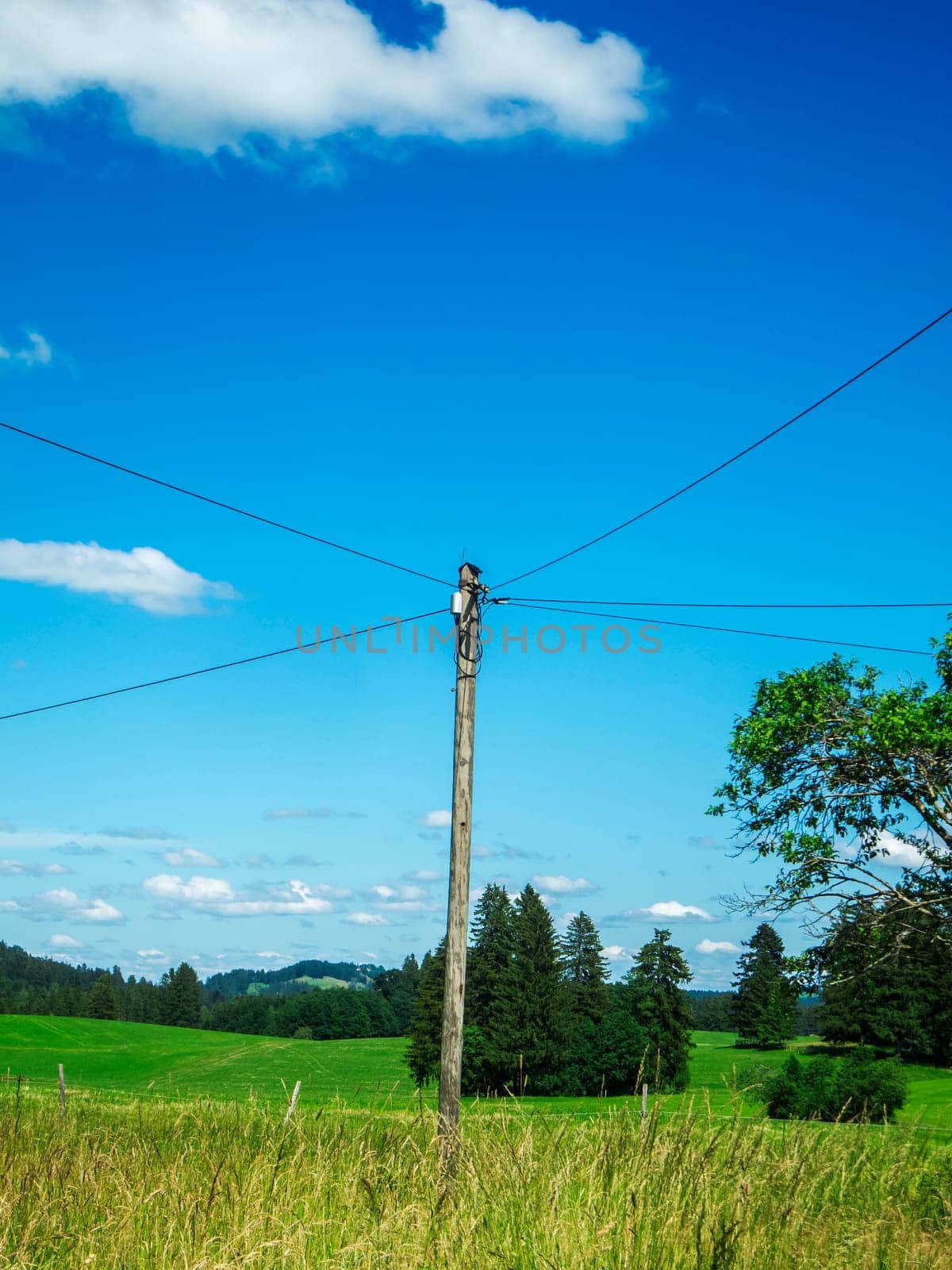 Landscape view with detached telegraph pole under blue sky with white clouds Bavaria in summer.