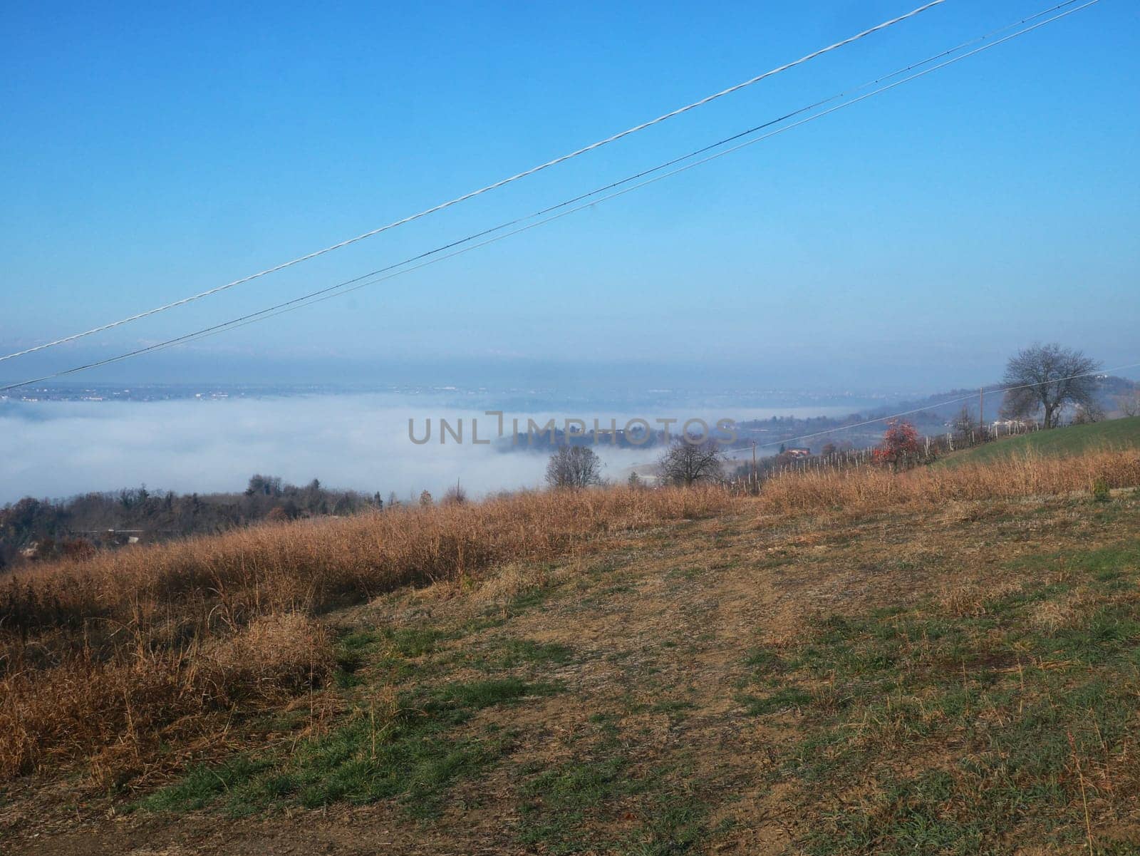 Foggy landscape of hills and trees, horizontal view