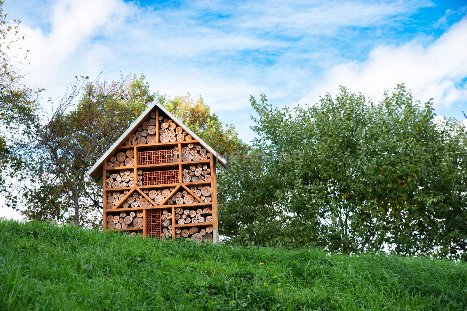 Wooden insect hotel, habitat for bugs and bees, rescue house, environment and ecology conversation, protect wildlife