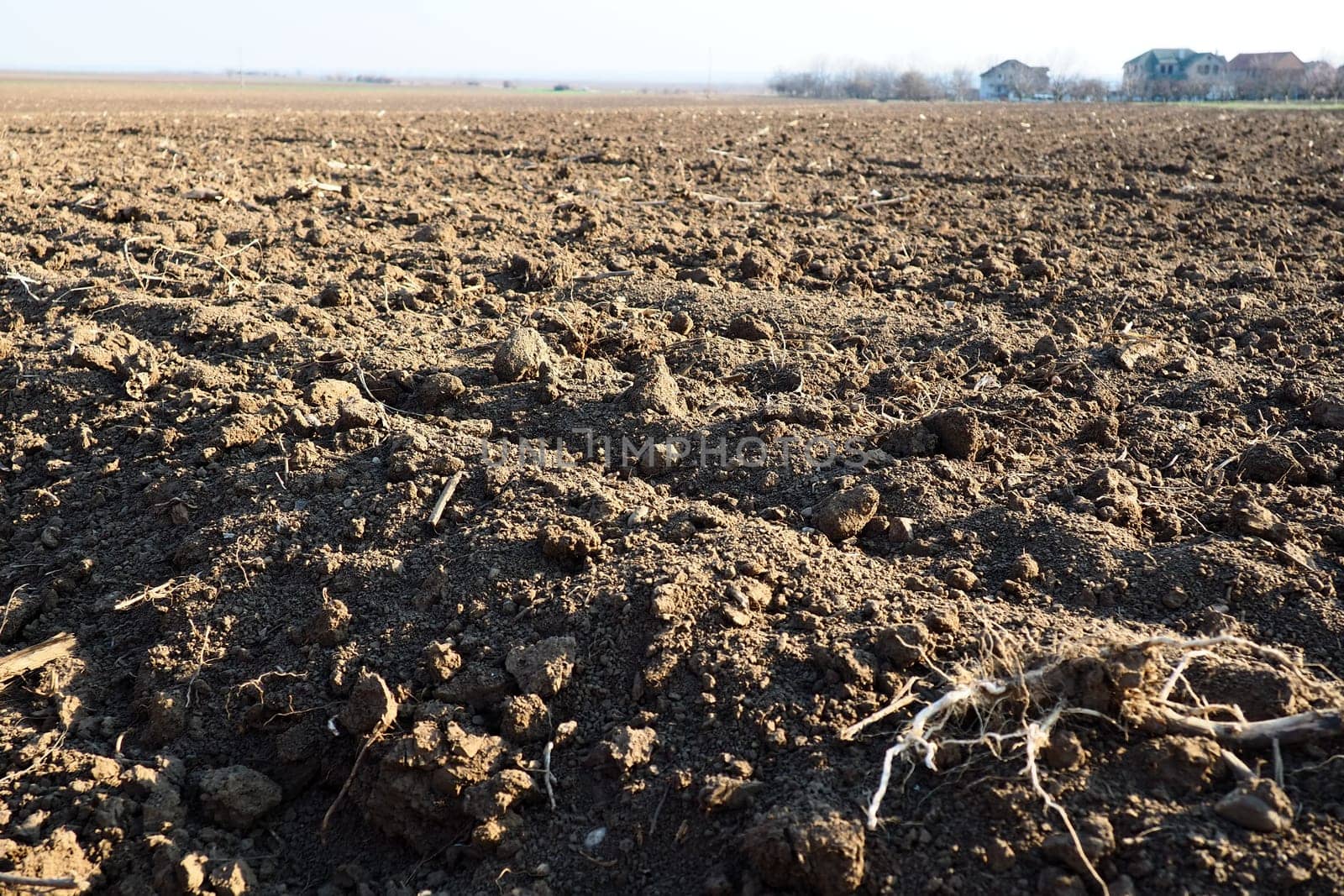 Arable field ready for spring agricultural work. Furrows from the passage of a tractor or combine. Cornmeal on the ground. Fertile soil for planting. Fertilizers are the key to a good harvest