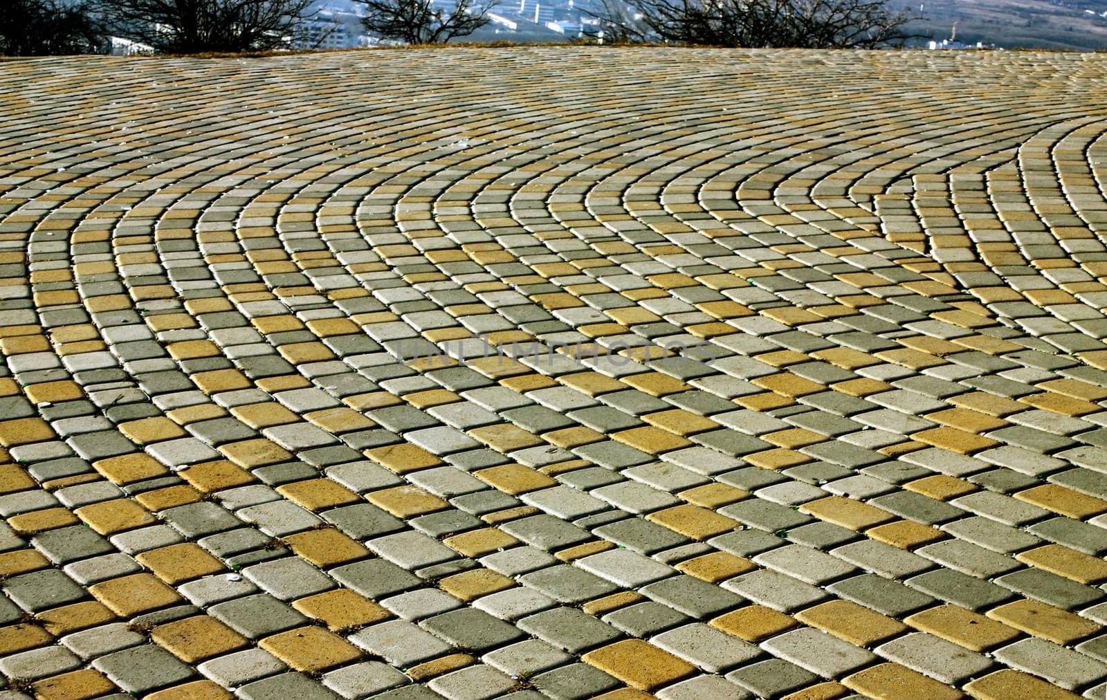 Paving stones in the street.