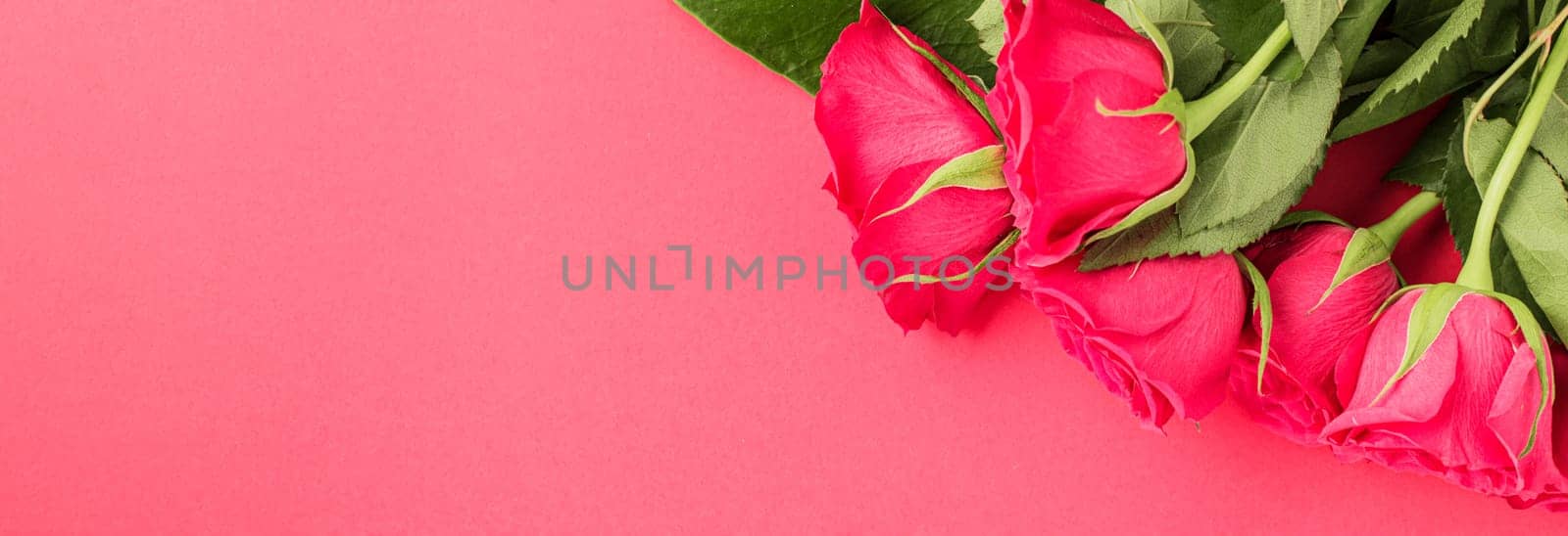 Minimal creative fresh roses on a pastel pink background. Gift concept for Valentine's Day, Wedding or Birthday, banner format. copyspace for text. Flatlay.