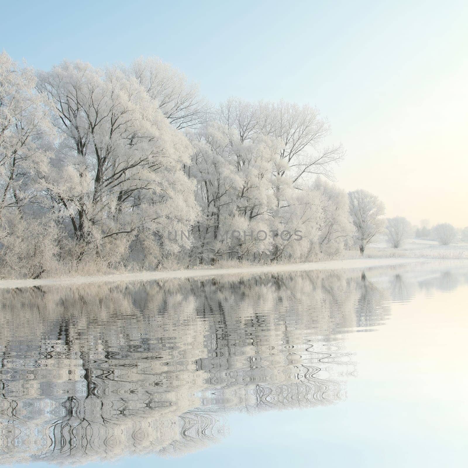 Frosty winter trees against a blue sky with reflection in water