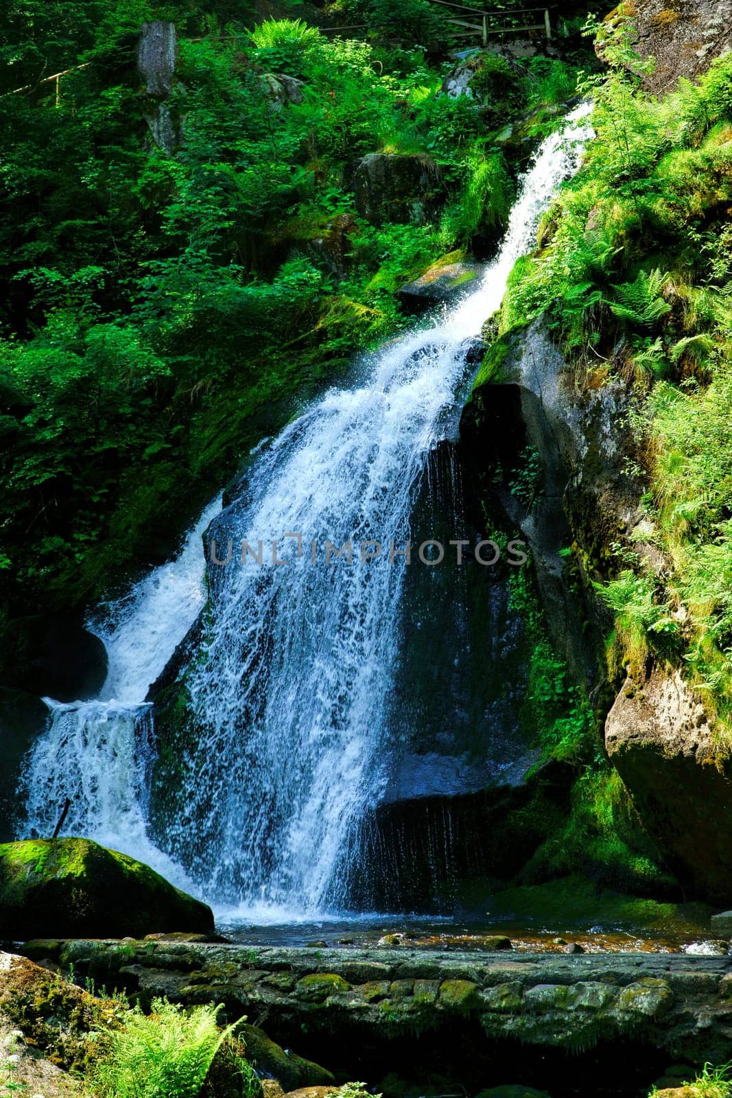 A natural spectacle of a special kind in the Black Forest,the highest waterfalls Germany in Triberg