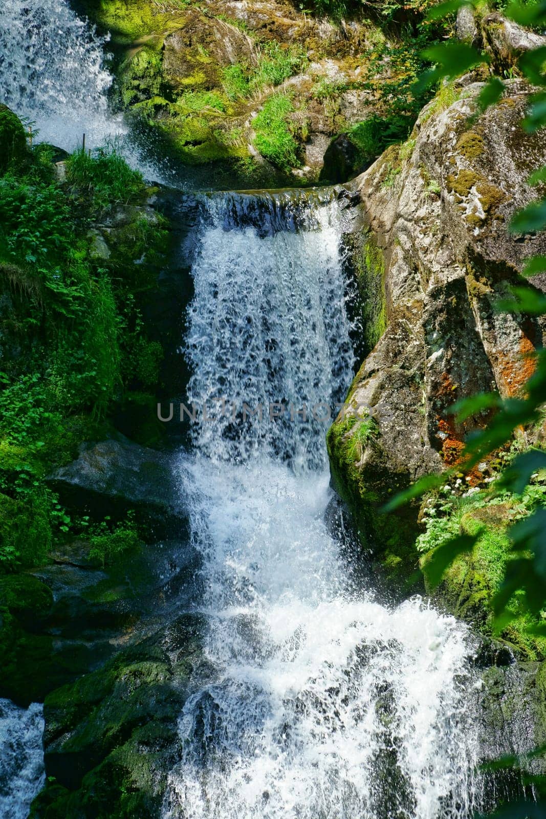 A natural spectacle of a special kind in the Black Forest,the highest waterfalls Germany in Triberg