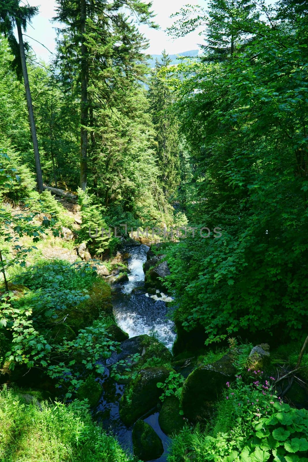 A natural spectacle of a special kind in the Black Forest,the highest waterfalls Germany in Triberg