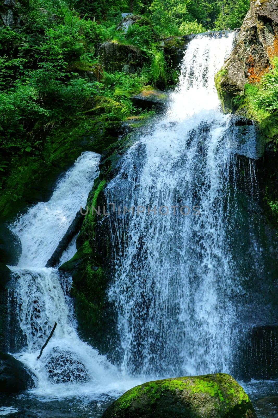 A natural spectacle of a special kind in the Black Forest,the highest waterfalls Germany in Triberg