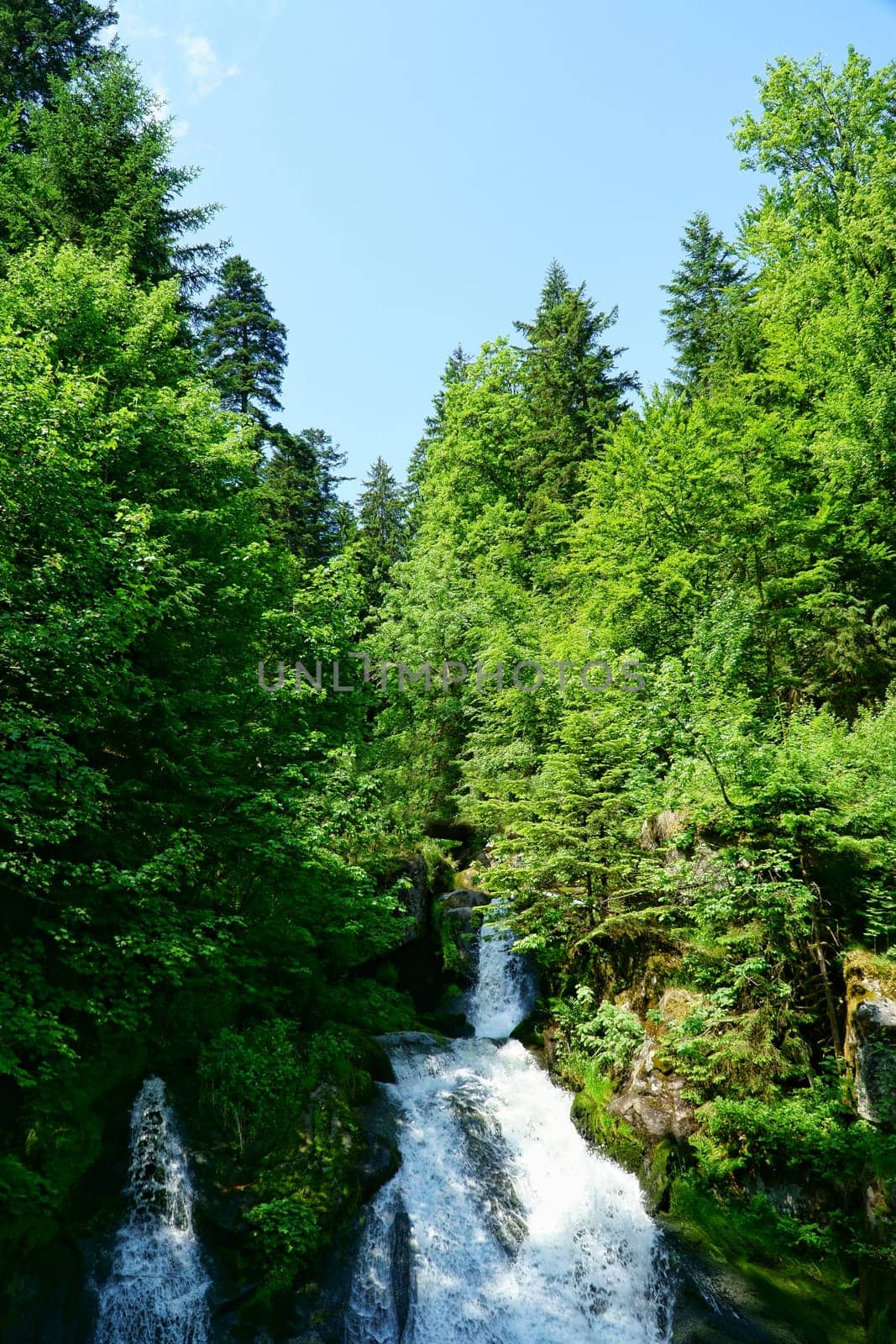 A natural spectacle of a special kind in the Black Forest,the highest waterfalls Germany in Triberg