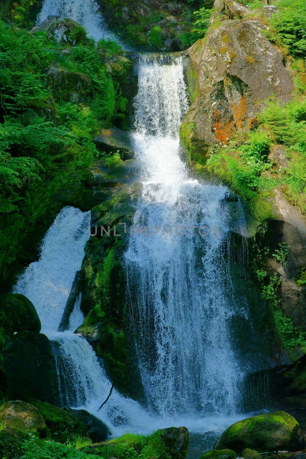 A natural spectacle of a special kind in the Black Forest,the highest waterfalls Germany in Triberg