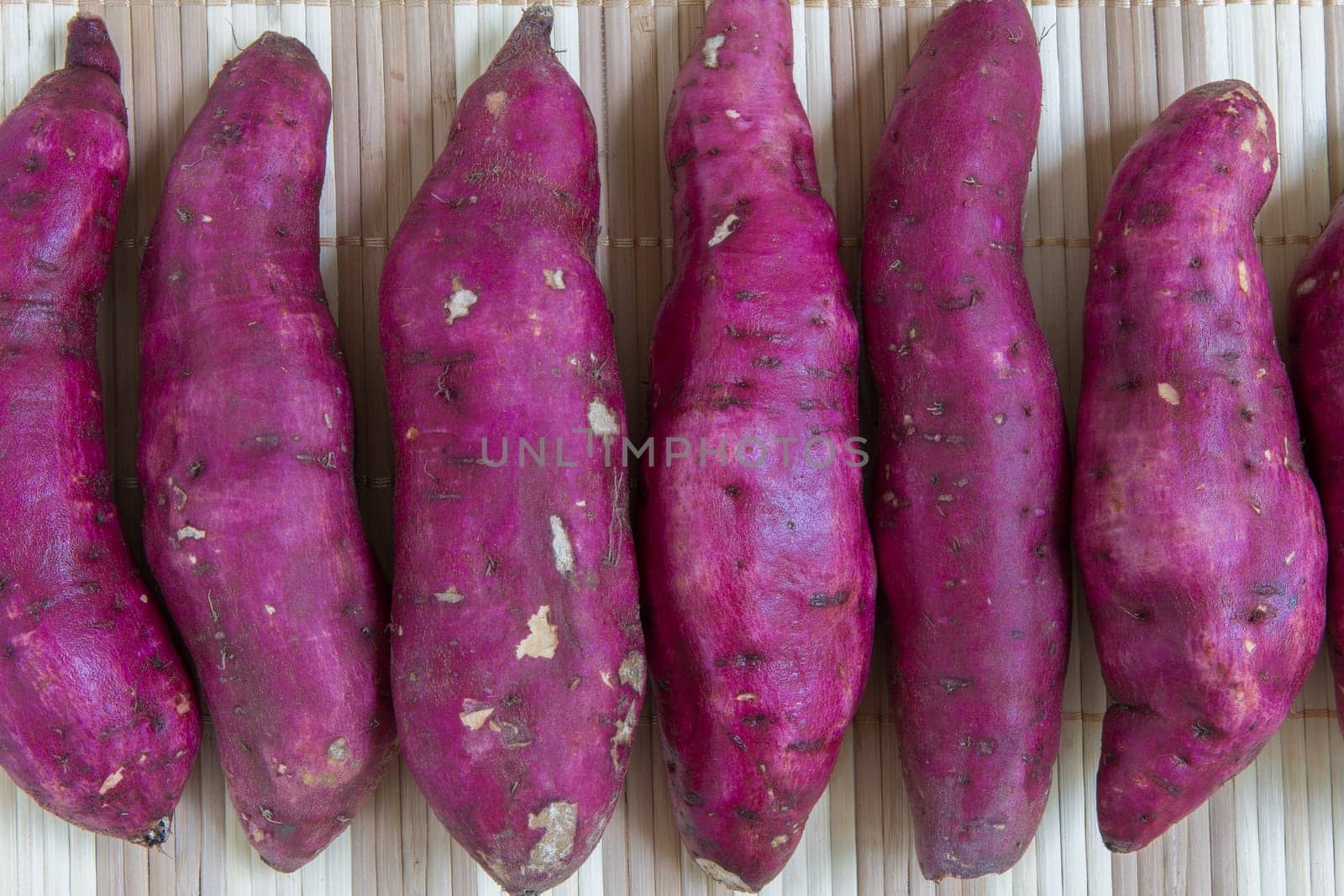 Raw sweet potatos freshly harvested from the farm.