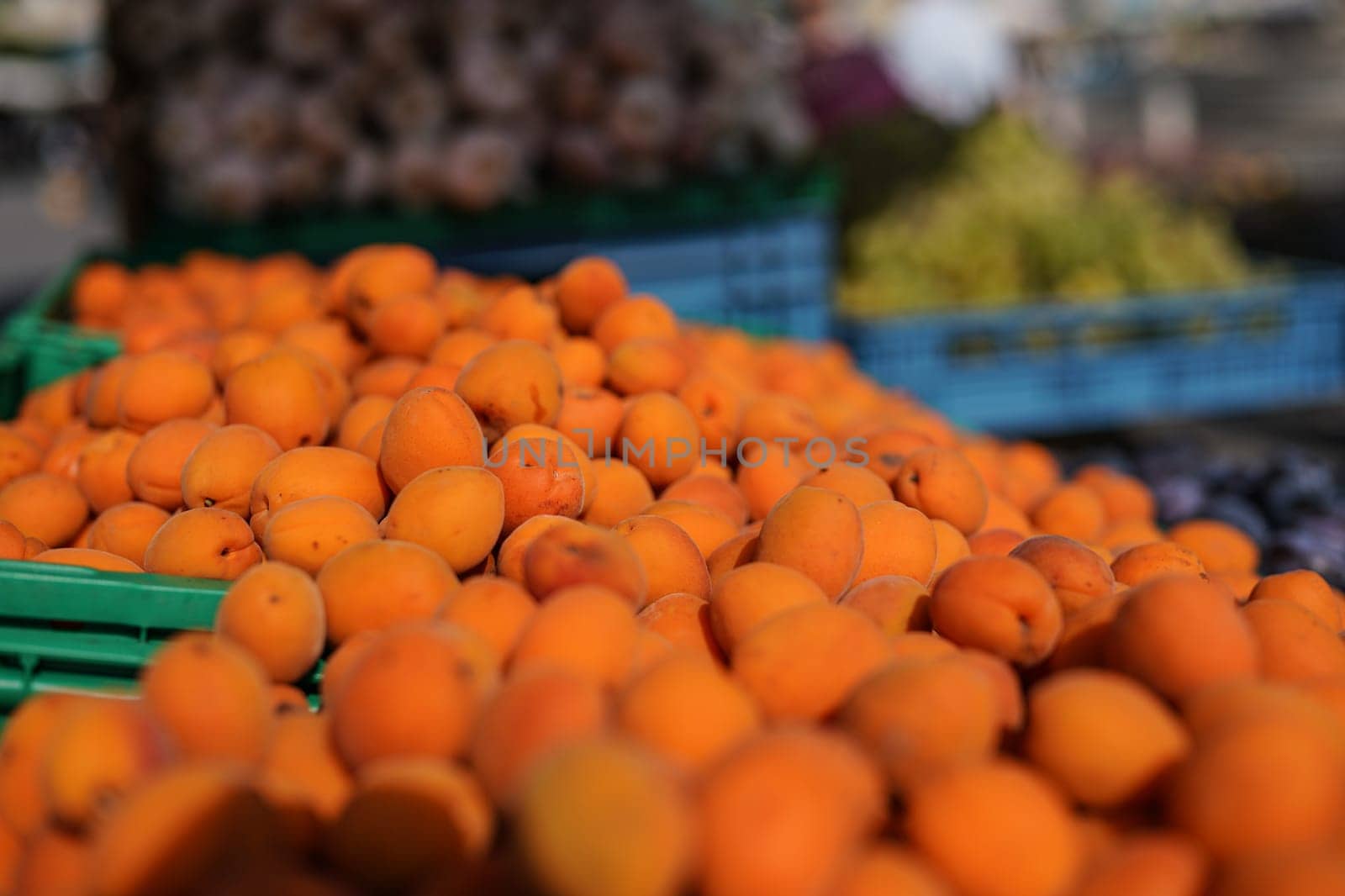 Heap of apricots on display at food market, shallow depth of field closeup detail.