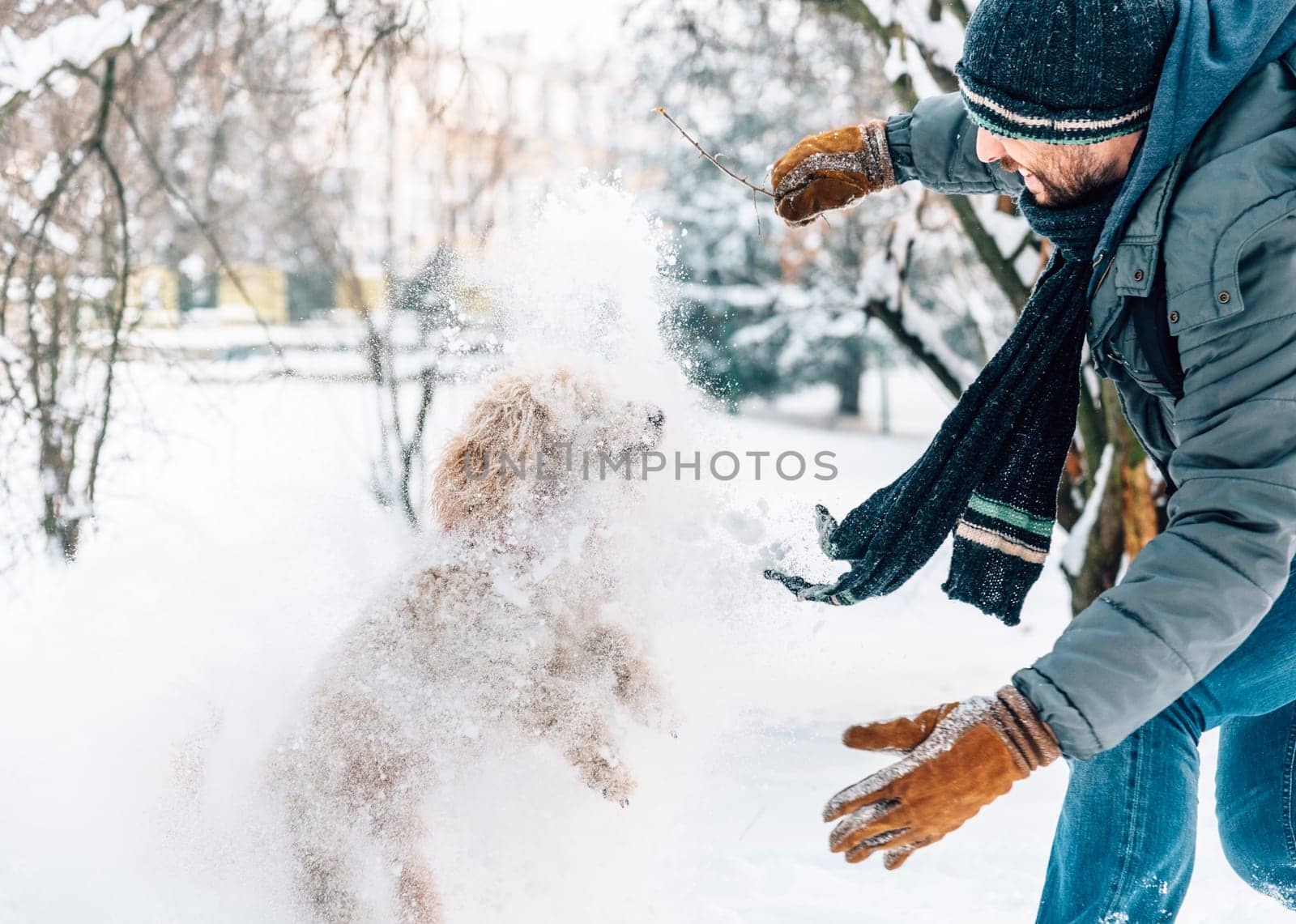 Snowball fight fun with pet and his owner in the snow. Winter holiday emotion. Cute puddle dog and man playing and running in the forest. Film filter image.