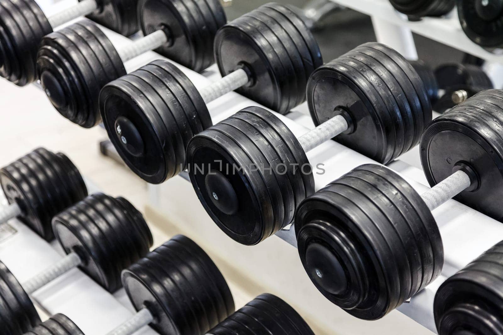 Barbells on a stand