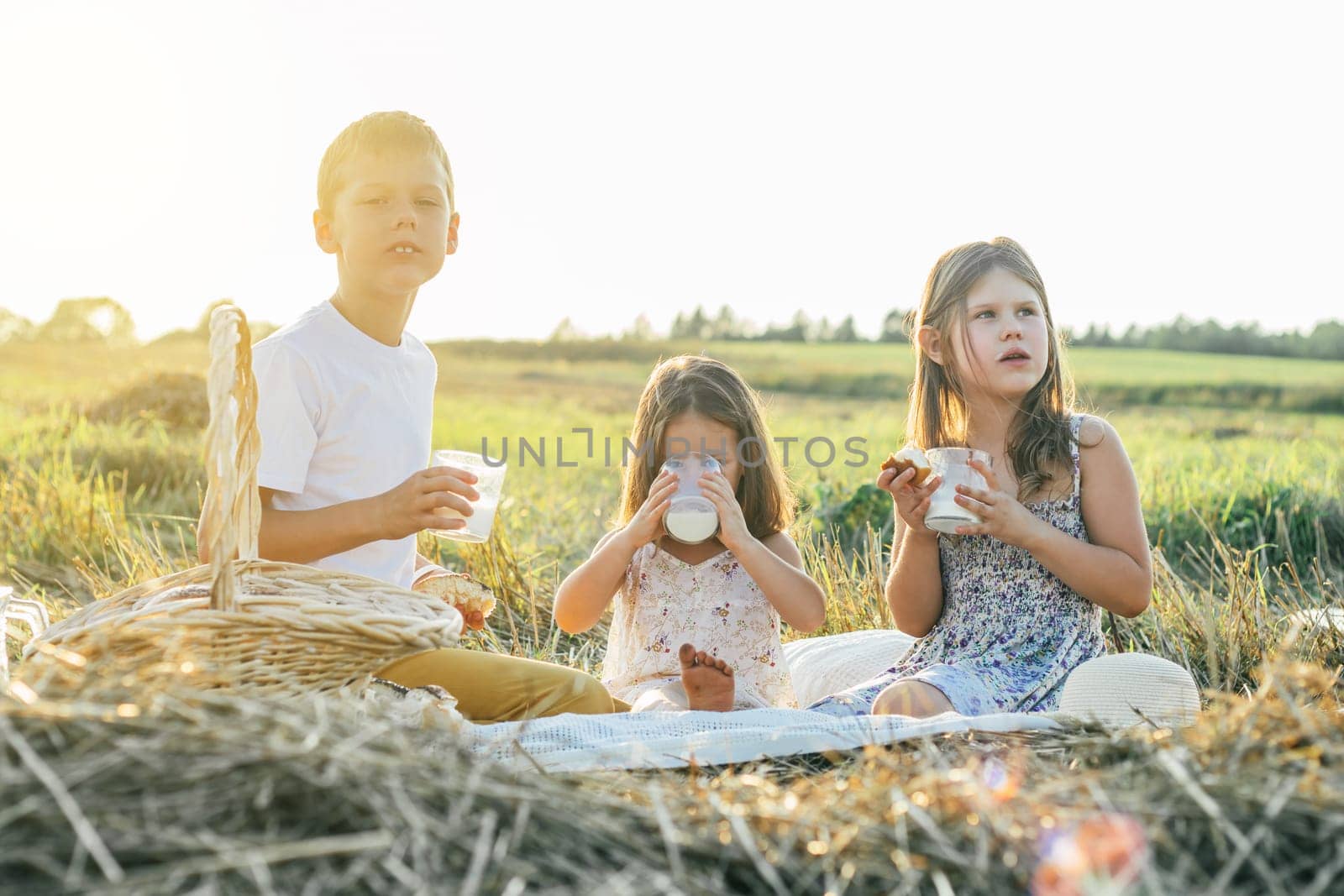 Portrait of cheery boy and two girls sitting on blanket in field, having picnic, drinking milk and eating bread. Relaxing time. Talking and stare into the distance. Light sunny day. Horizon