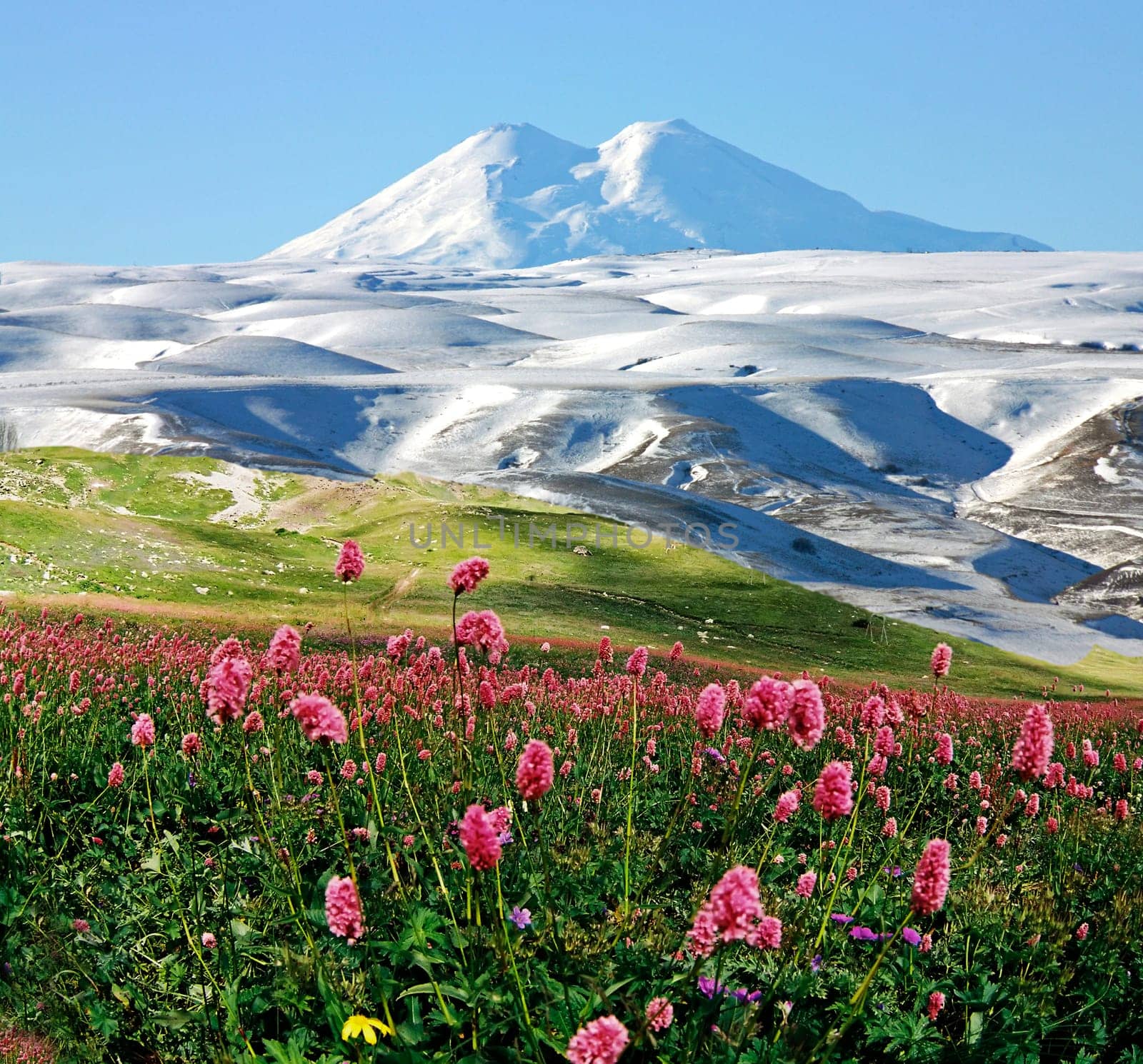 The highest peak in Europe is Mount Elbrus,altitude 5642 meters.