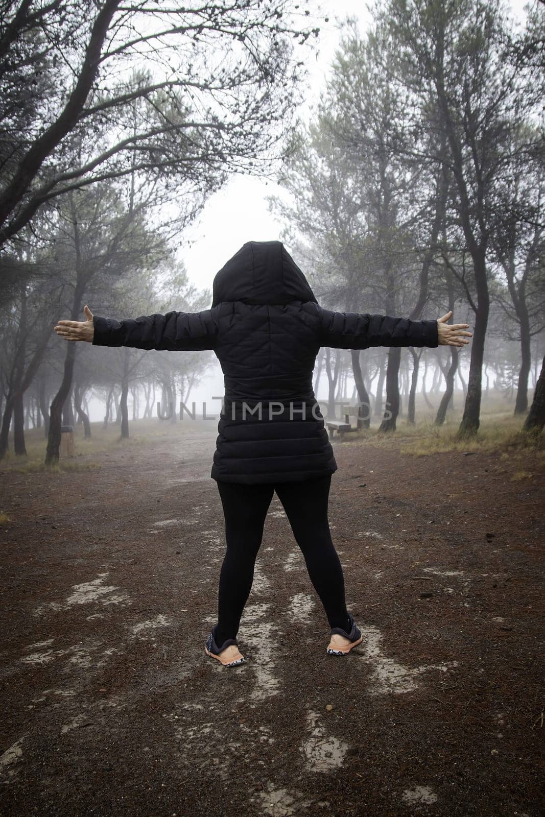 Detail of a walk through a forest on a foggy winter day