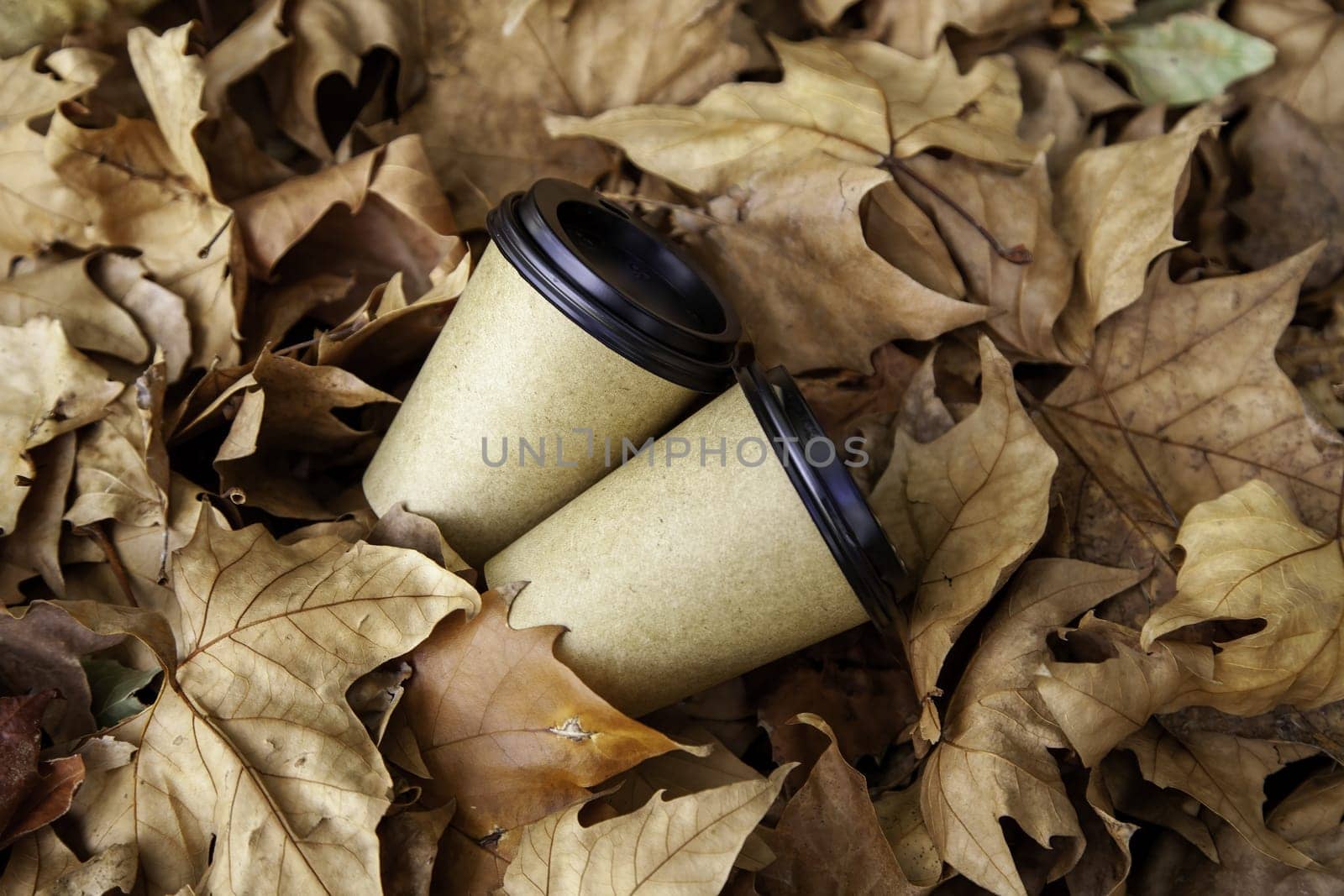 Detail of glass of coffee thrown in a forest, environment