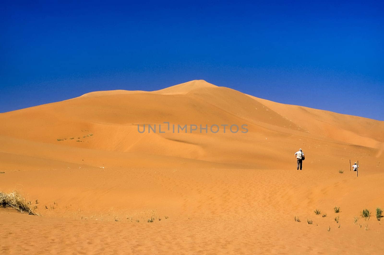 Africa, Namibia, Hardap, Namib Naukluft Park, Deadvlei