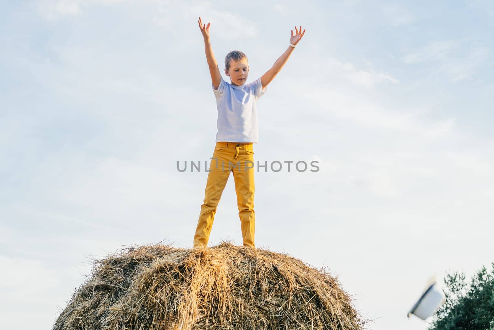 Happy school aged boy joyfully stand at top of haystack with raised arms. Carefree child on haymaking. Outdoor walking. Beautiful blue sky. Summer vacation, countryside lifestyle, haying.