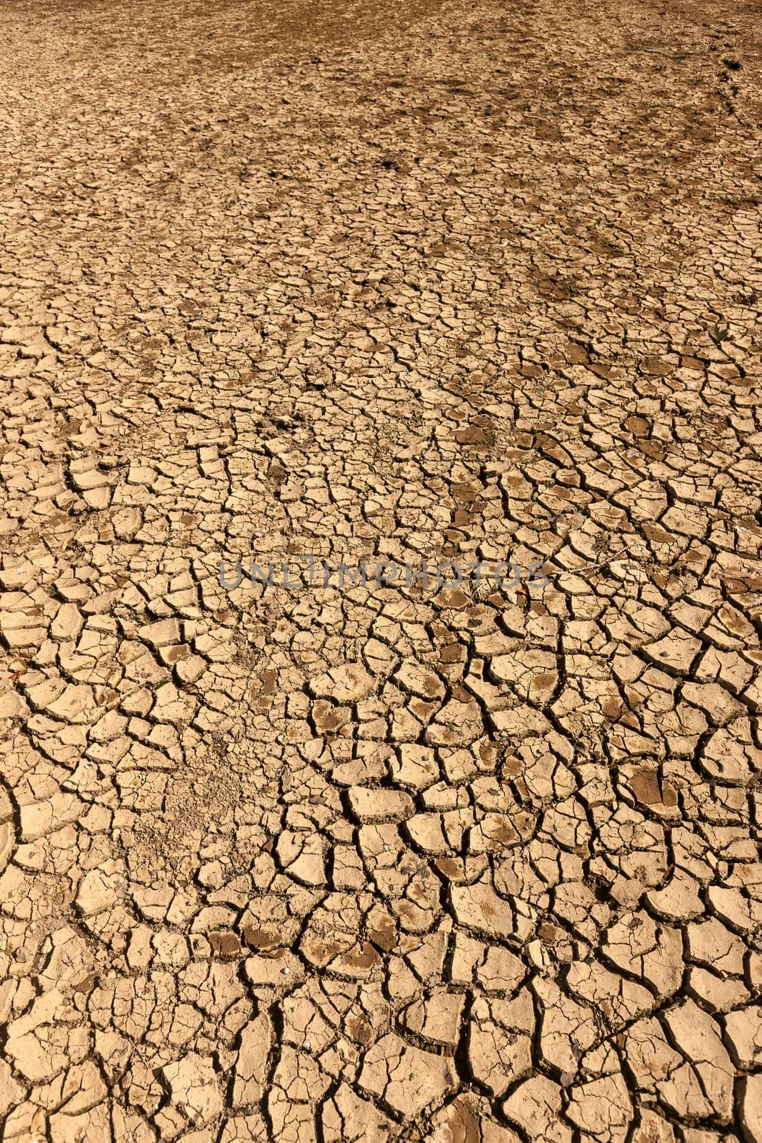 The dry cracked earth. The Montenegro. Mountains in summer