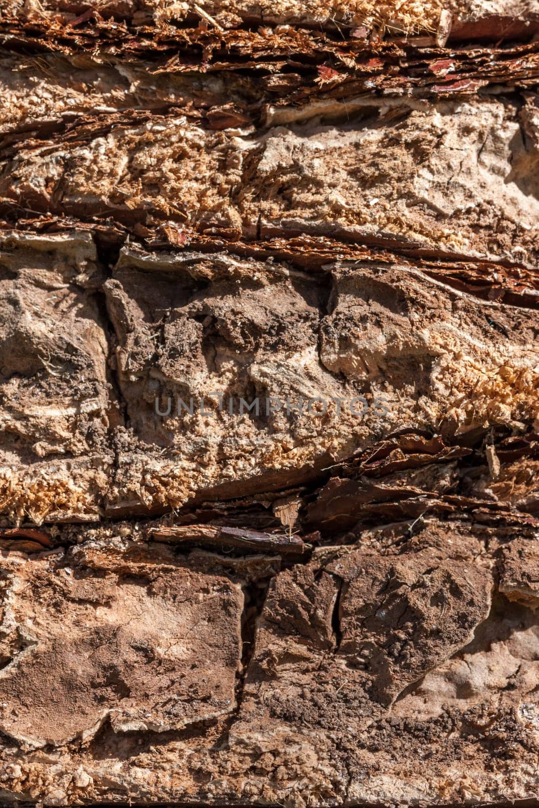 The tree bark as a natural  background