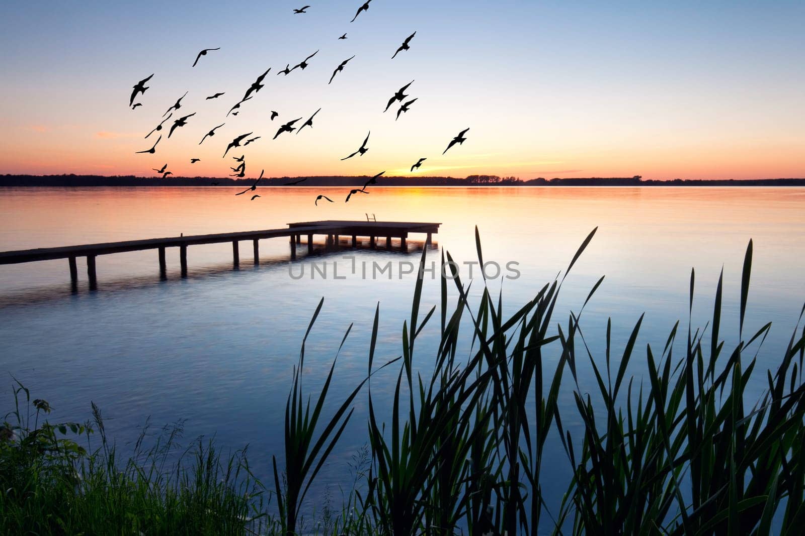 Boat jetty at the lake