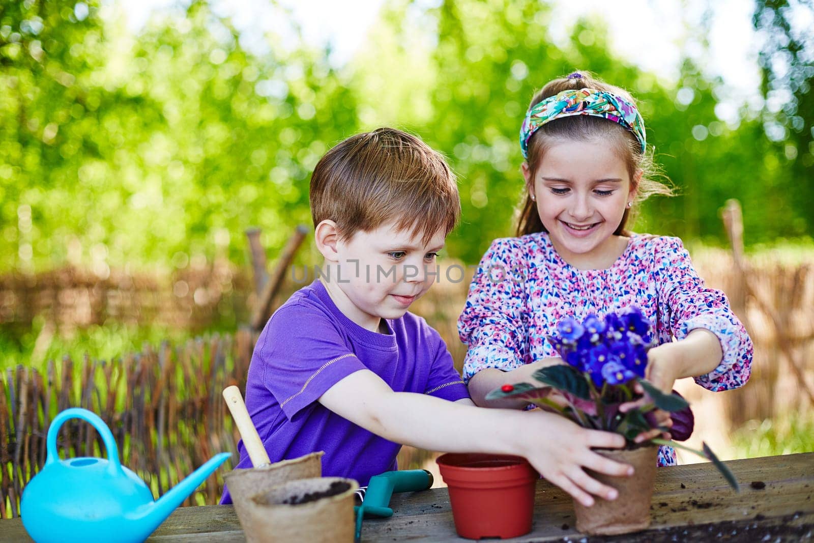 Cute friends replanting African violets outdoors