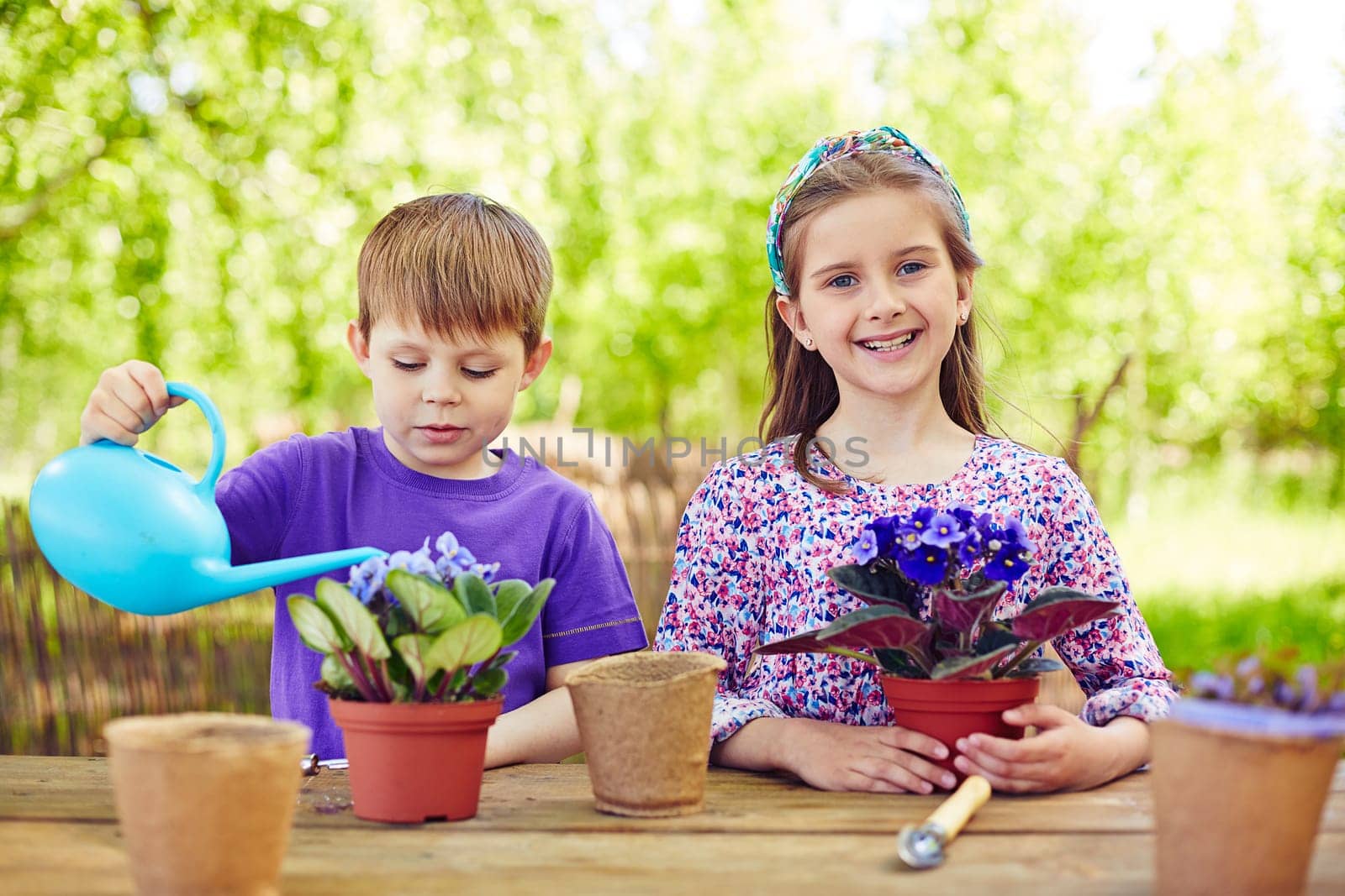 Two youngsters taking care of violets in the garden