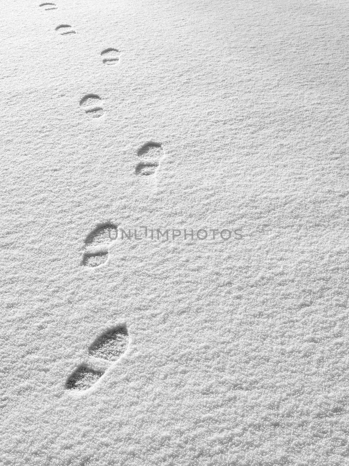 Footsteps in the snow