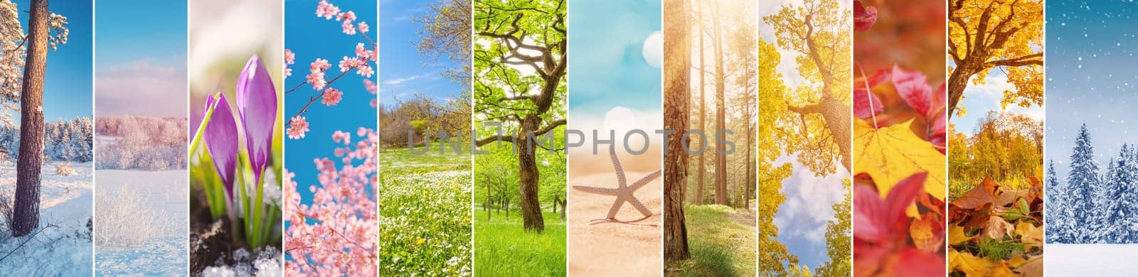 Collage of the photos of the twelve months of the year. Concept of the calendar and background.