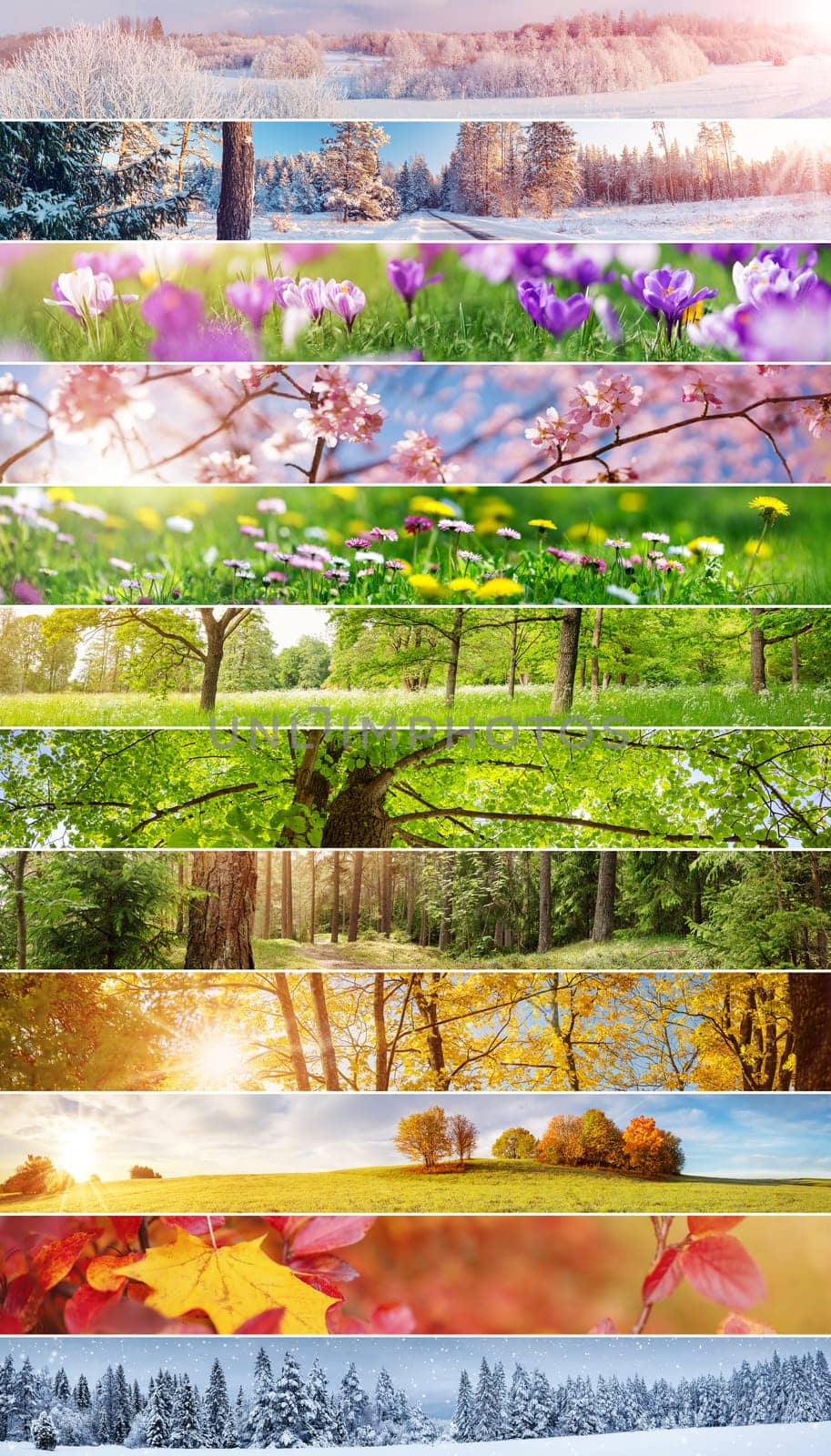Collage of the panoramic photos of the twelve months of the year. Concept of the calendar and background.