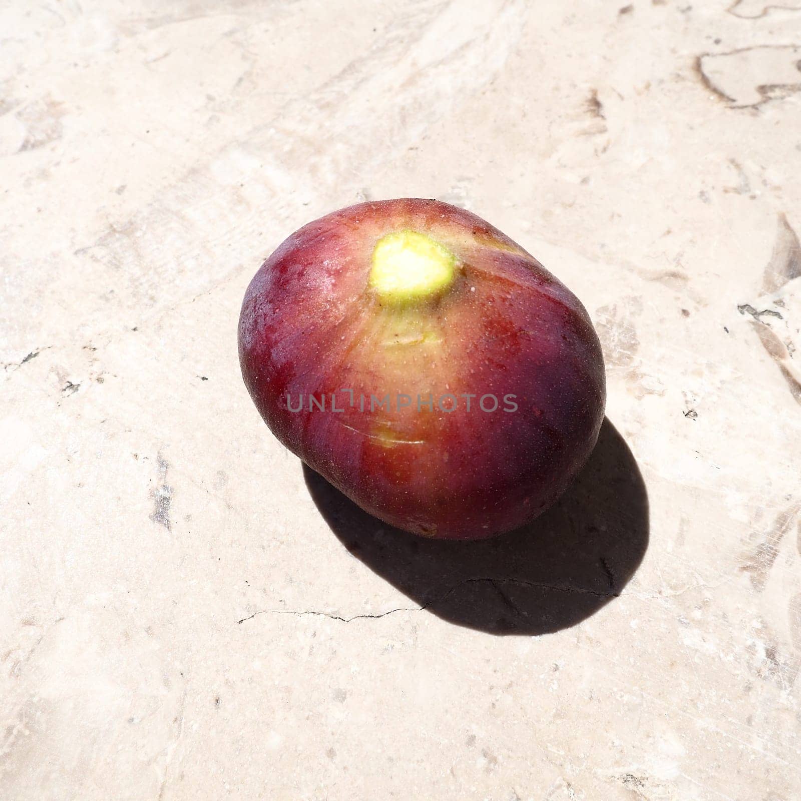 Fig or fig tree, or common fig tree, or Ficus carica is a subtropical deciduous plant of the genus Ficus of the Mulberry family. Ripe purple fig fruits on a light background. Healthy food.