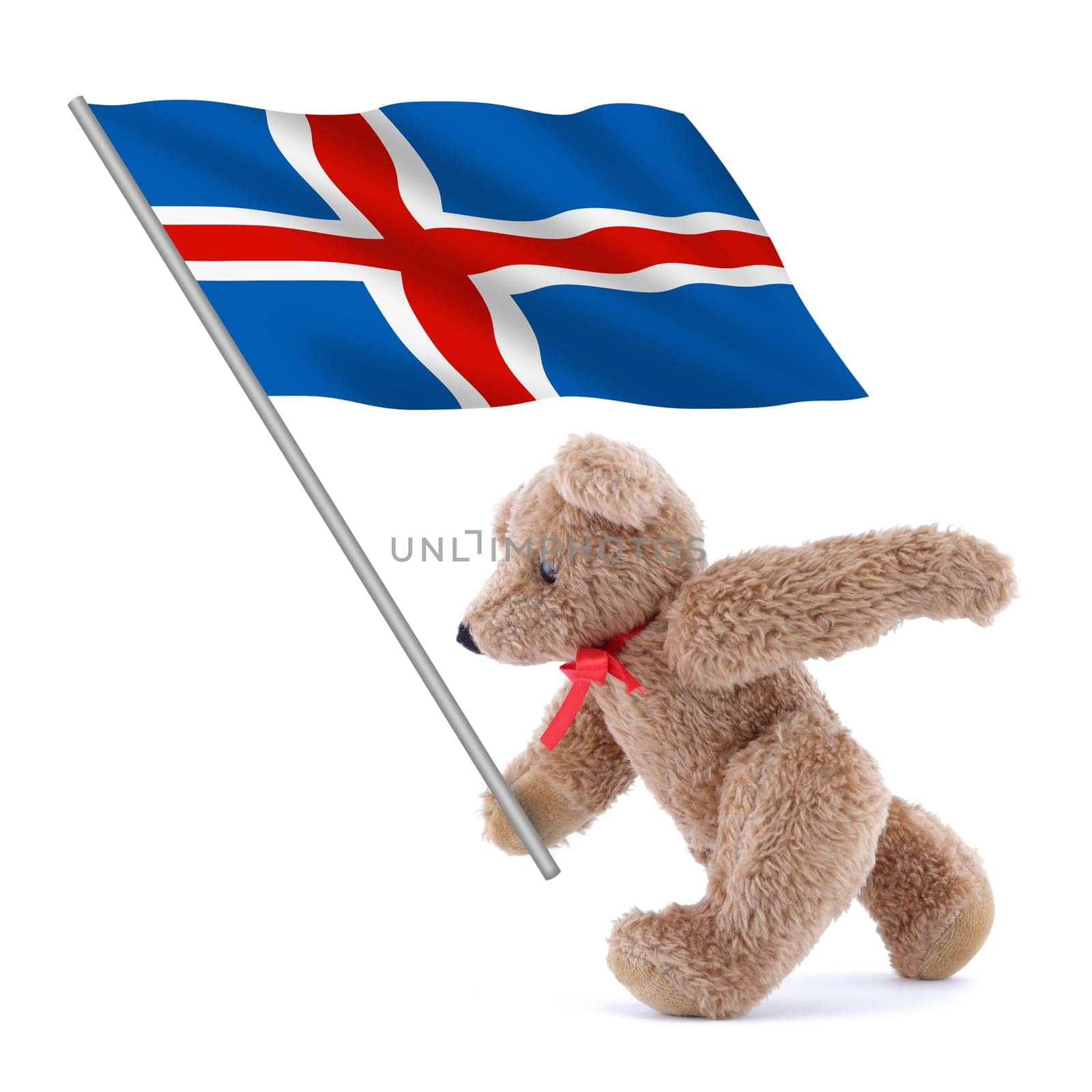 An Iceland flag being carried by a cute teddy bear