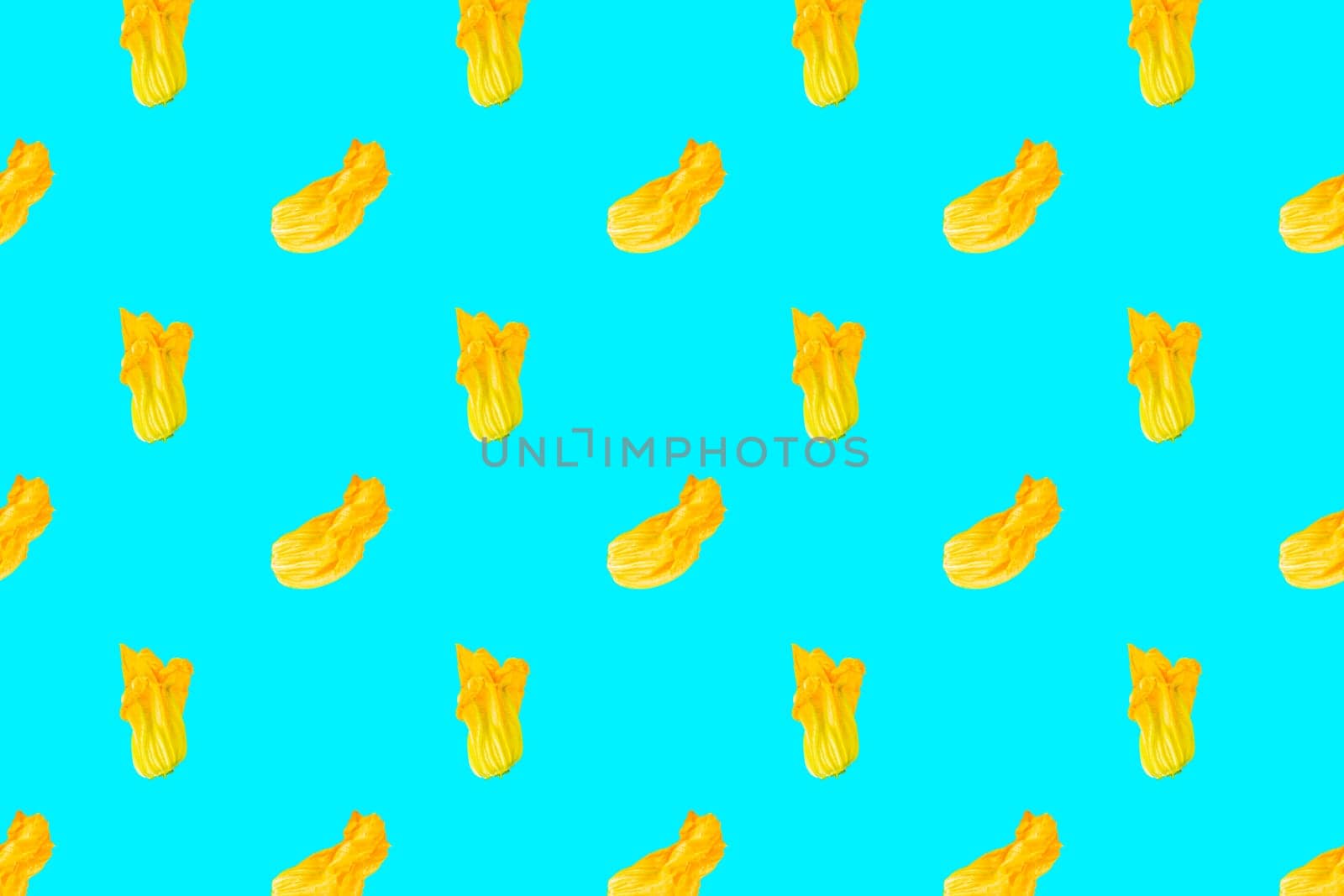 Seamless pattern. Yellow flower of zucchini or pumpkin on colored background. Packaging concept. Full depth of field.
