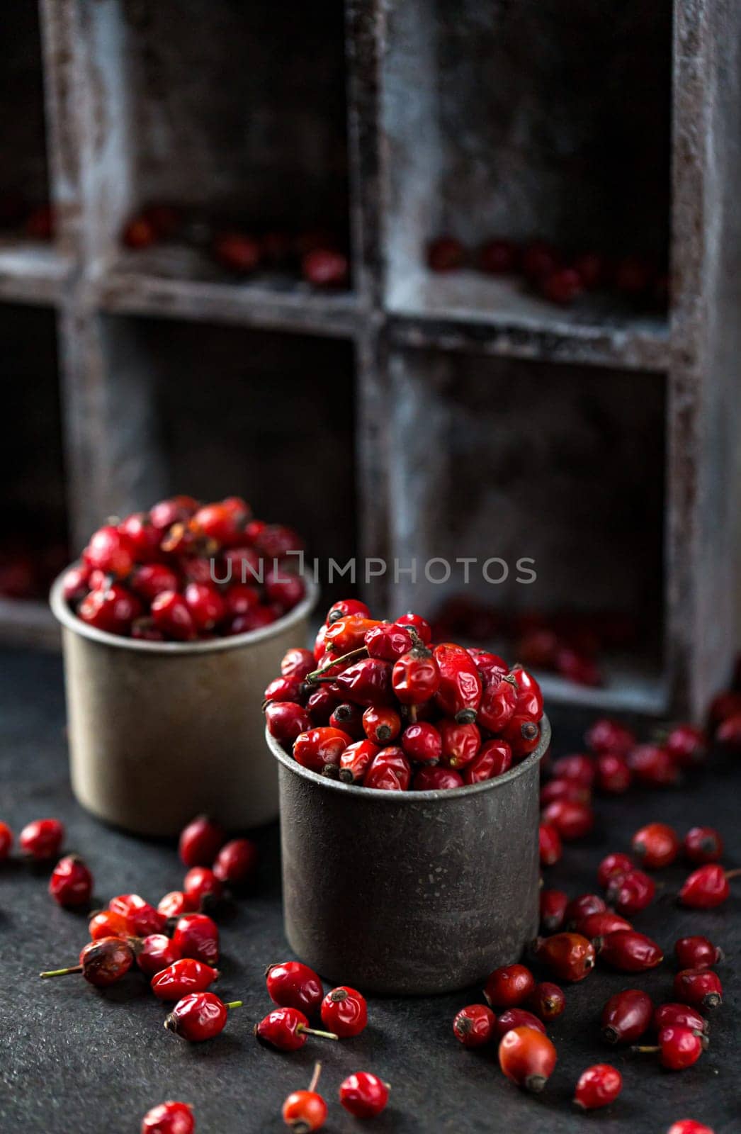 Rosehip in the cup. Benefits and used as a natural remedy. Natural therapy. dark mode style.