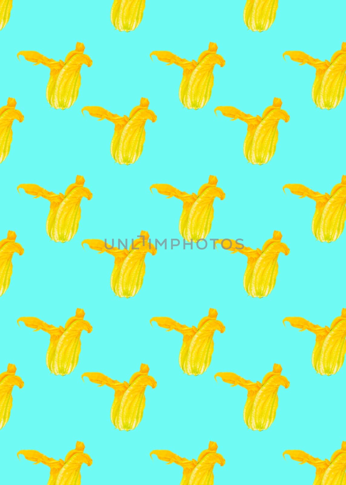 Seamless pattern. Yellow flower of zucchini or pumpkin on colored background. Packaging concept. Full depth of field.