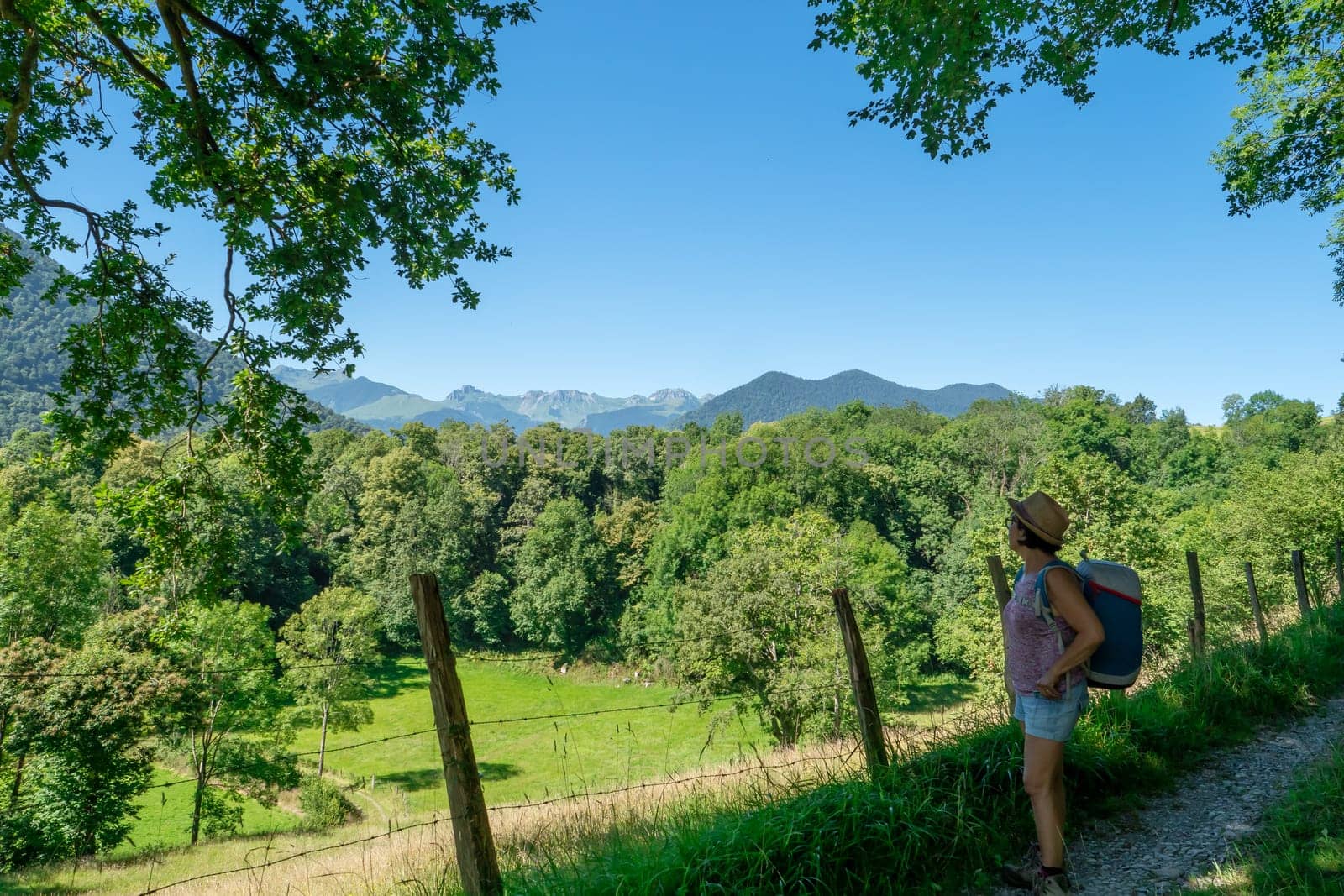 an hiker woman on the path in french pyrenes mountains