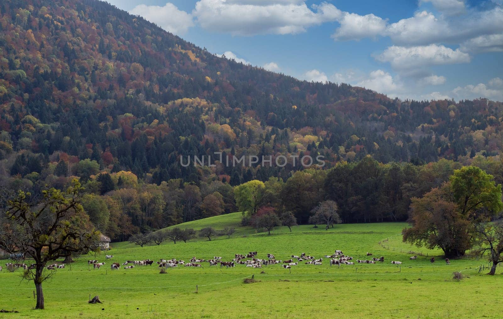 a view of mountain landscape in autumn