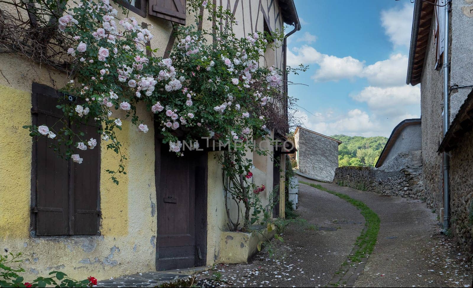 typical street of a french village with flowers