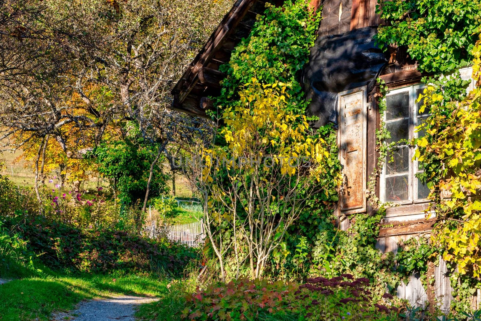 old barn window , at autumn countryside, France