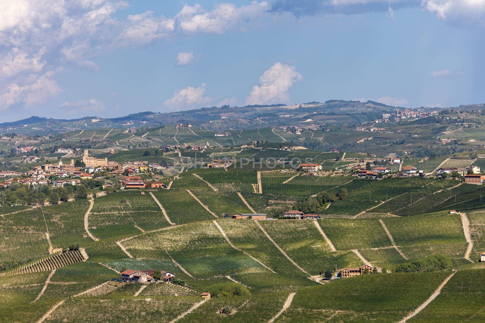 Langhe vineyards near Barolo and La Morra, Unesco Site, Piedmont, Italy