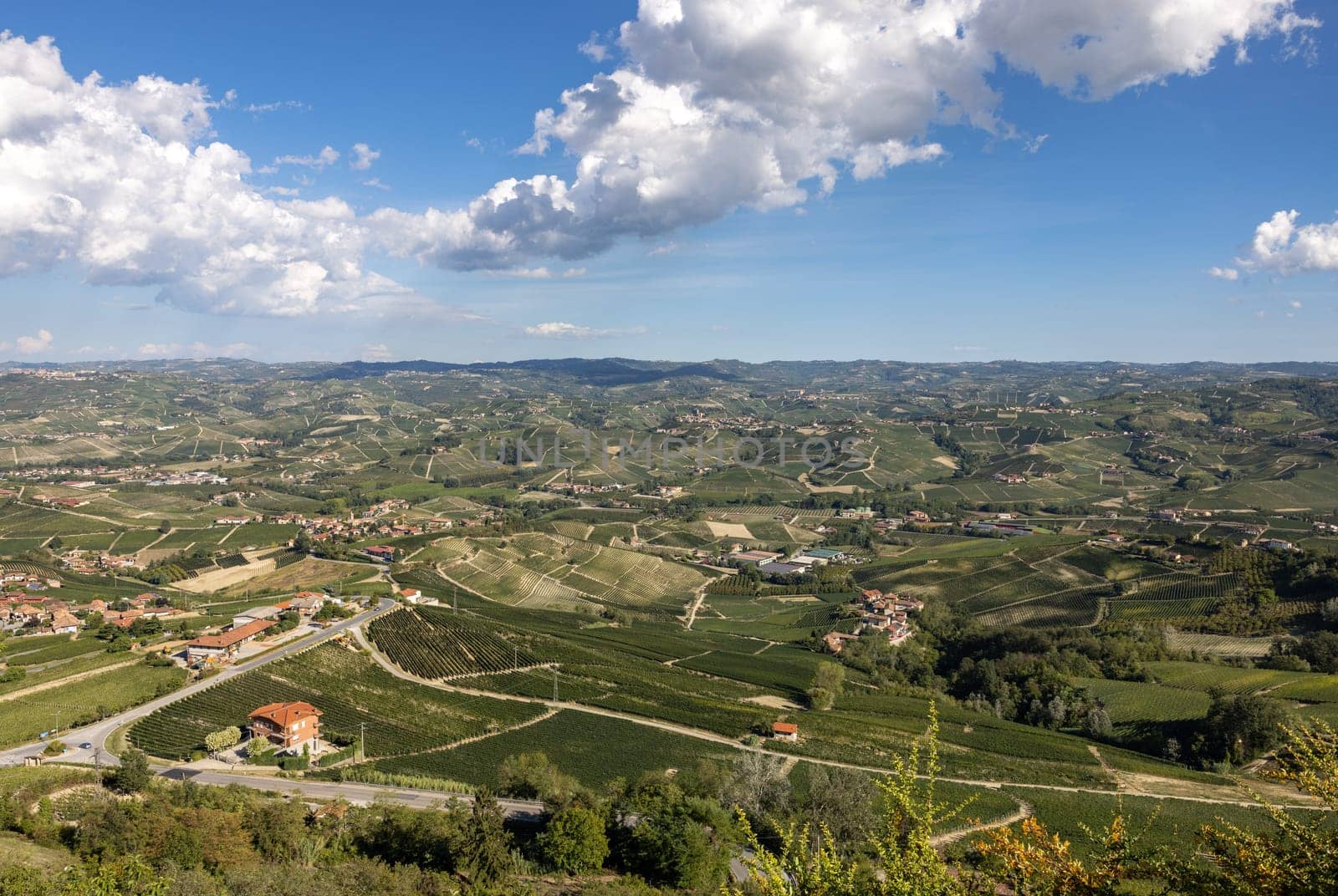 Langhe vineyards near Barolo and La Morra, Unesco Site, Piedmont, Italy