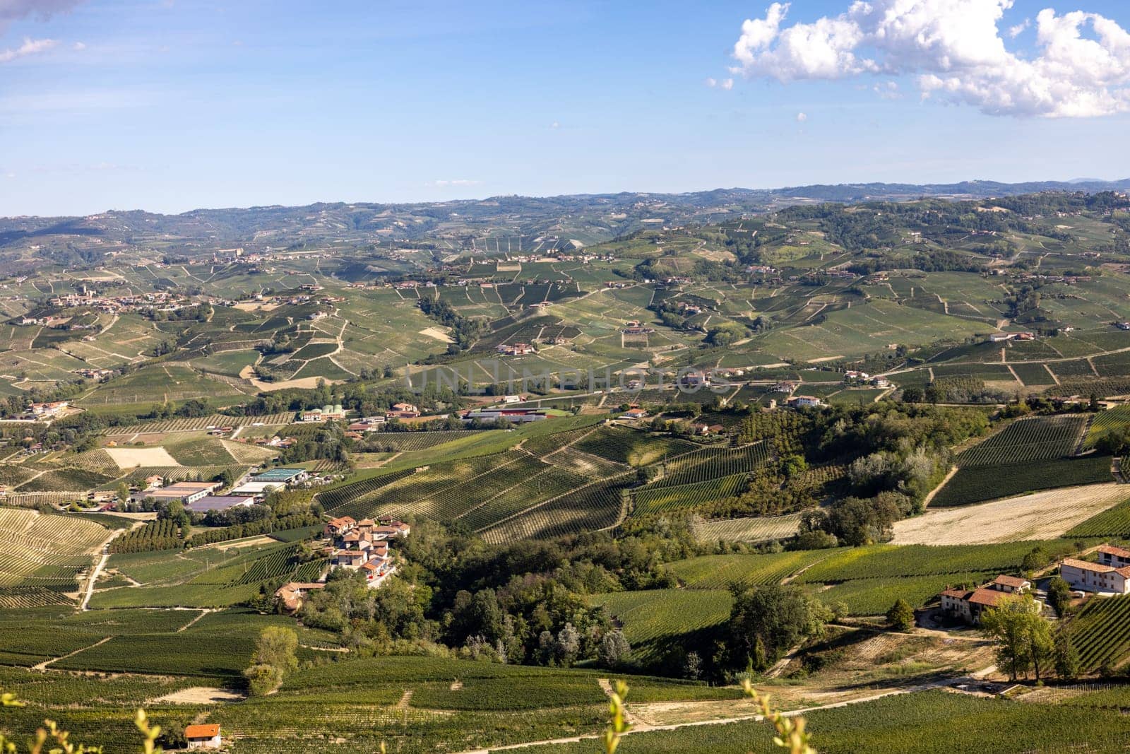 Langhe vineyards near Barolo and La Morra, Unesco Site, Piedmont, Italy